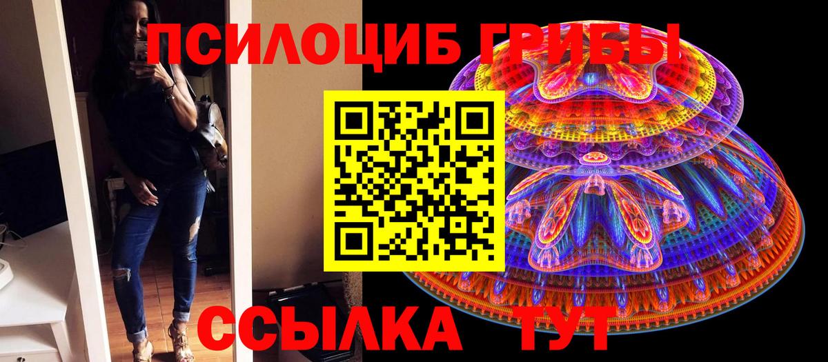 Галлюциногенные грибы Cubensis Красноуфимск