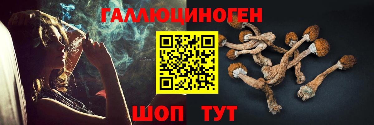 Красноуфимск  Псилоцибиновые грибы GOLDEN TEACHER  Вход с VPN 